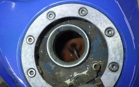 YAMAHA TDR250 2024 2YK