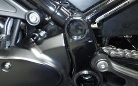 KAWASAKI Z900RS SE 2024 ZR900K