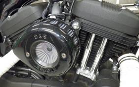 HARLEY XL1200NS 2019