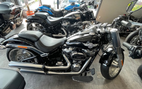 HARLEY  HARLEY FLFBS 2018 YGK