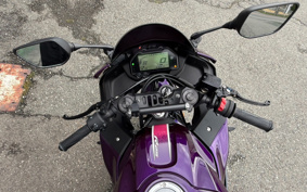 YAMAHA YZF-R25 RG74J