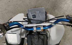 YAMAHA YF100M 3GB