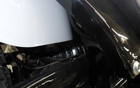 HARLEY FXST1750 2025