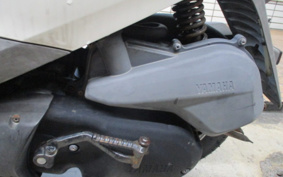 YAMAHA AKUSHI STREET SE53J
