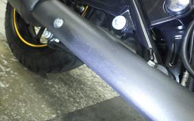 OTHER +ENFIELD ﾒﾃｵ350 2022