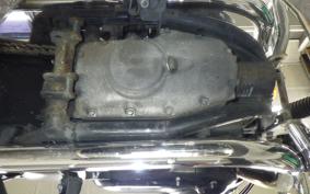 KAWASAKI W800 STREET 2022 EJ800E