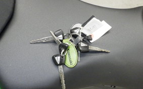 KAWASAKI NINJA 1000 A 2016