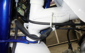 HONDA MONKEY BAJA 2024 Z50J