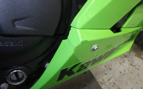 KAWASAKI NINJA 250 2006 EX250Y