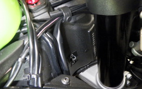 KAWASAKI NINJA ZX-6R A 2020 ZX636G