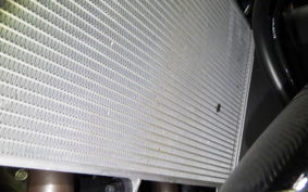 KAWASAKI NINJA1100SX 2025