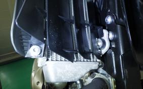 YAMAHA WR250X DG15J