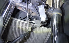 YAMAHA YZF-R3 2016 RH07J