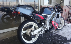 YAMAHA TZR250-1 3MA