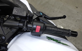 KAWASAKI NINJA 250 EX250L