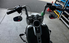 HARLEY FLFBS 2019 YGK