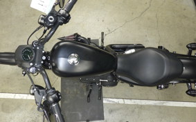 HARLEY XL883N 2015
