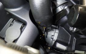 TRIUMPH SPEED TRIPLE RS 2021