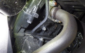 KAWASAKI Z250 A 2024 ER250C