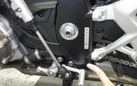 BMW S1000R 2023