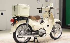 HONDA C110 SUPER CUB 2026 JA59