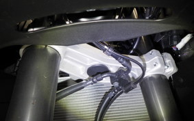 KAWASAKI NINJA1100SX 2025