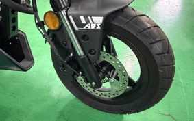 OTHER CFMOTO XO-1 PAPIO