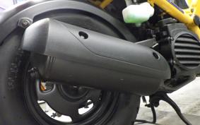 HONDA ZOOMER 2024 AF58