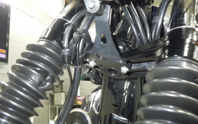 KAWASAKI W800 2023 EJ800E