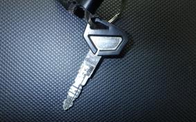 KAWASAKI KLX250 Gen.2 LX250S