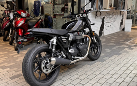 TRIUMPH SPEED TWIN 900 2026 DP0G21