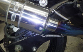 KAWASAKI NINJA 250R 2025 EX250K