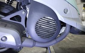YAMAHA MINT 2023 1YU