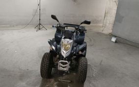 OTHER  BUGGY 50CC ..