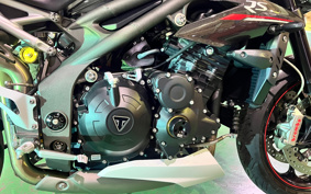 TRIUMPH  TRIUMPH SPEED TRIPLE RS 2019 TPN275