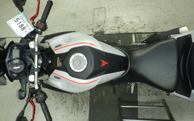 YAMAHA MT-25 RG43J