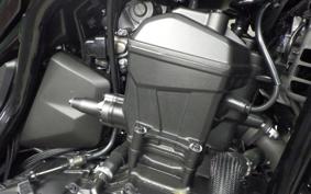 HONDA REBEL 1100 2021 SC83