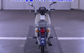 OTHER C110PU LOW 3
