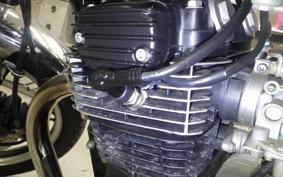 KAWASAKI Z250 FT