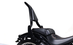HARLEY FXBR 2019 YEJ
