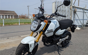 HONDA GROM JC92
