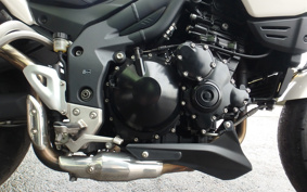 TRIUMPH TIGER 1050 2008 TG7465