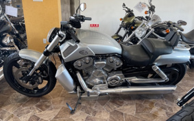 HARLEY  HARLEY VRSCF 2009 HPH