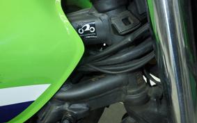 KAWASAKI ZRX1200 D 2017 ZRT20D