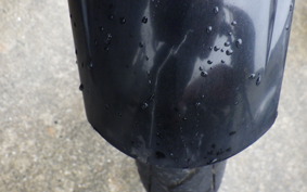 YAMAHA TRICKER DG10J