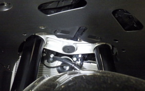 KAWASAKI NINJA ZX-6R A 2025 ZX636J