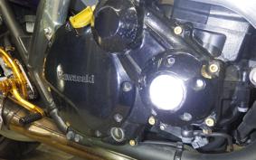 KAWASAKI ZRX1200 D 2009 ZRT20D