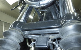 HARLEY XL1200NS 2019