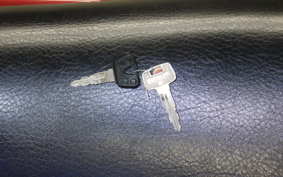 YAMAHA SRV250 RENAISSA 2008 4DN