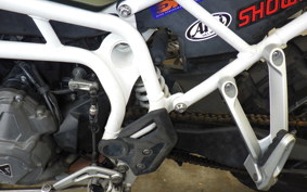 TRIUMPH TIGER 900 RALLY PRO 2022